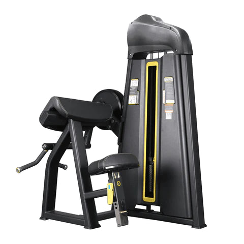 Seated Triceps & Biceps Curl