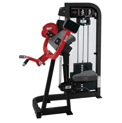 Biceps Curl
