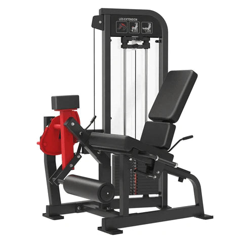 Seated Leg Extension