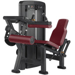 Seated Leg Curl