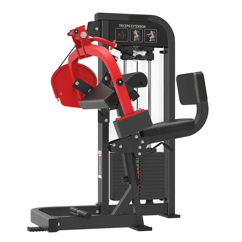 Triceps Extension