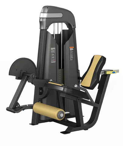 Leg Extension