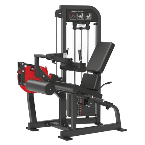 Seated Leg Curl
